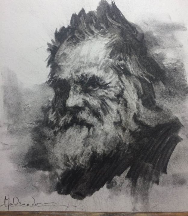 Estudios de retrato, carboncillo sobre papel de William Maldonado