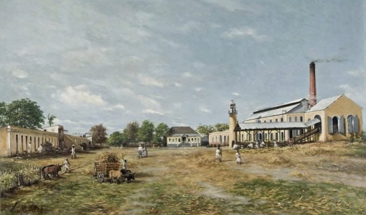 Otra vista de «Hacienda La Fortuna»
