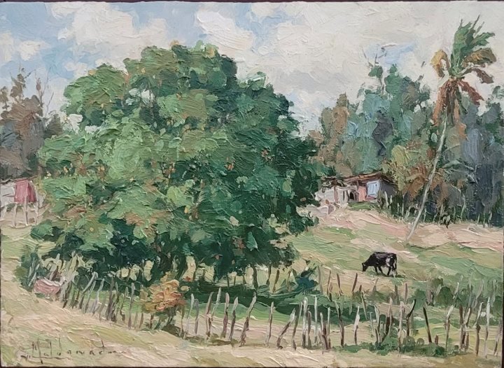 Paisaje de Cabo Rojo, óleo sobre hardboard de William Maldonado