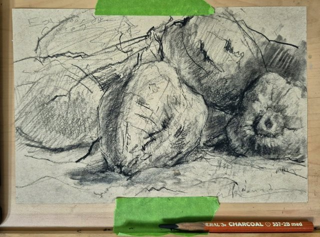 Pequeño estudio de cocos · carbón